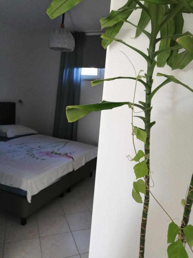 Kuca Moni Apartment Medulin Bagian luar foto