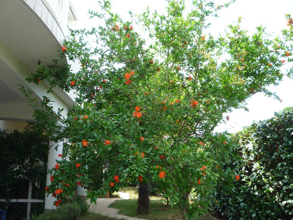 Kuca Moni Apartment Medulin Bagian luar foto